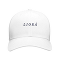 4cd0ac26-3346-42ef-9a22-12fa31a1d116